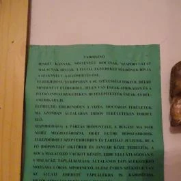 Őrségi Vadászati Kiállítás Magyarszombatfa - Egyéb