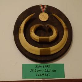 Őrségi Vadászati Kiállítás Magyarszombatfa - Egyéb