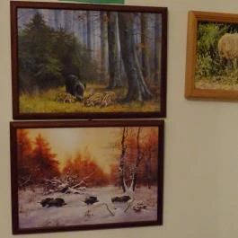 Őrségi Vadászati Kiállítás Magyarszombatfa - Egyéb