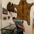 Őrségi Vadászati Kiállítás Magyarszombatfa - 