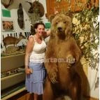 Őrségi Vadászati Kiállítás Magyarszombatfa - 