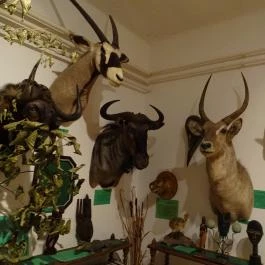 Őrségi Vadászati Kiállítás Magyarszombatfa - Egyéb