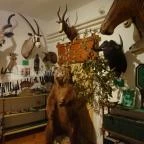 Őrségi Vadászati Kiállítás Magyarszombatfa - 