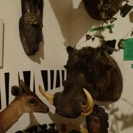 Őrségi Vadászati Kiállítás Magyarszombatfa - Egyéb