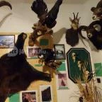 Őrségi Vadászati Kiállítás Magyarszombatfa - 