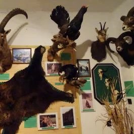 Őrségi Vadászati Kiállítás Magyarszombatfa - Egyéb