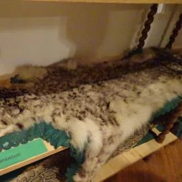 Őrségi Vadászati Kiállítás Magyarszombatfa - Egyéb