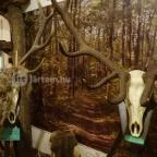 Őrségi Vadászati Kiállítás Magyarszombatfa - 