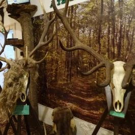 Őrségi Vadászati Kiállítás Magyarszombatfa - Egyéb