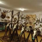 Őrségi Vadászati Kiállítás Magyarszombatfa - 