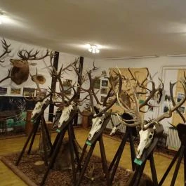 Őrségi Vadászati Kiállítás Magyarszombatfa - Egyéb