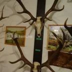 Őrségi Vadászati Kiállítás Magyarszombatfa - 