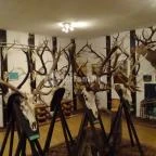 Őrségi Vadászati Kiállítás Magyarszombatfa - 