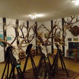 Őrségi Vadászati Kiállítás Magyarszombatfa - Egyéb