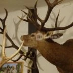 Őrségi Vadászati Kiállítás Magyarszombatfa - 