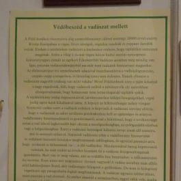 Őrségi Vadászati Kiállítás Magyarszombatfa - Egyéb