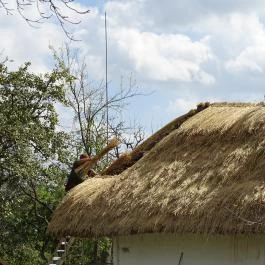 Őrségi Népi Műemlékegyüttes Szalafő - Egyéb