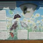 Őrségi Népi Műemlékegyüttes Szalafő - 