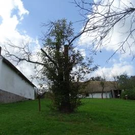 Őrségi Népi Műemlékegyüttes Szalafő - Egyéb