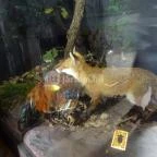 Őrségi Népi Műemlékegyüttes Szalafő - 