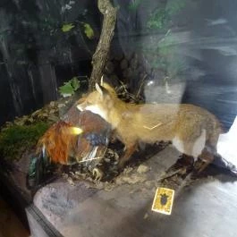 Őrségi Népi Műemlékegyüttes Szalafő - Egyéb