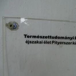 Őrségi Népi Műemlékegyüttes Szalafő - Egyéb