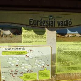 Őrségi Népi Műemlékegyüttes Szalafő - Egyéb