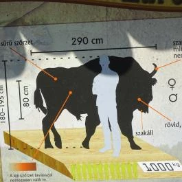 Őrségi Népi Műemlékegyüttes Szalafő - Egyéb