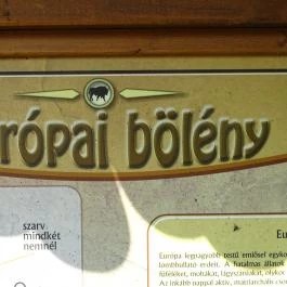 Őrségi Népi Műemlékegyüttes Szalafő - Egyéb