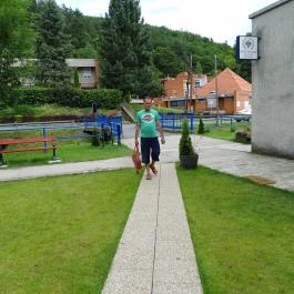 Porcelánmúzeum Hollóháza - Egyéb