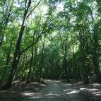 Regéci vár Regéc - 