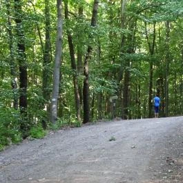 Regéci vár Regéc - Egyéb