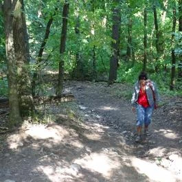 Regéci vár Regéc - Egyéb