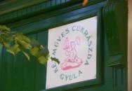 Selfice Önmegvalósító Fagylalt Gyula