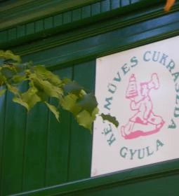 Selfice Önmegvalósító Fagylalt