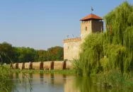 Selfice Önmegvalósító Fagylalt Gyula