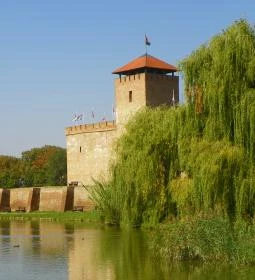 Selfice Önmegvalósító Fagylalt