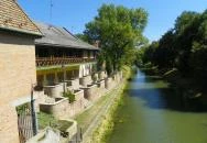 Selfice Önmegvalósító Fagylalt Gyula