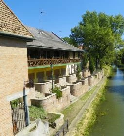 Selfice Önmegvalósító Fagylalt