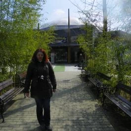 Sóstó Zoo - Nyíregyházi Állatpark Nyíregyháza - Egyéb