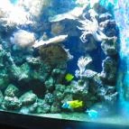 Sóstó Zoo - Nyíregyházi Állatpark Nyíregyháza - 