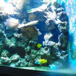 Sóstó Zoo - Nyíregyházi Állatpark Nyíregyháza - Egyéb