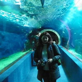 Sóstó Zoo - Nyíregyházi Állatpark Nyíregyháza - Egyéb