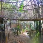 Sóstó Zoo - Nyíregyházi Állatpark Nyíregyháza - 