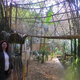 Sóstó Zoo - Nyíregyházi Állatpark Nyíregyháza - Egyéb