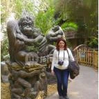 Sóstó Zoo - Nyíregyházi Állatpark Nyíregyháza - 