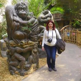 Sóstó Zoo - Nyíregyházi Állatpark Nyíregyháza - Egyéb