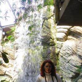 Sóstó Zoo - Nyíregyházi Állatpark Nyíregyháza - Egyéb