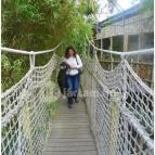 Sóstó Zoo - Nyíregyházi Állatpark Nyíregyháza - 