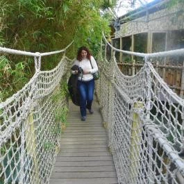 Sóstó Zoo - Nyíregyházi Állatpark Nyíregyháza - Egyéb